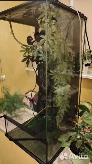 Террариум для хамелеона 90 45 45