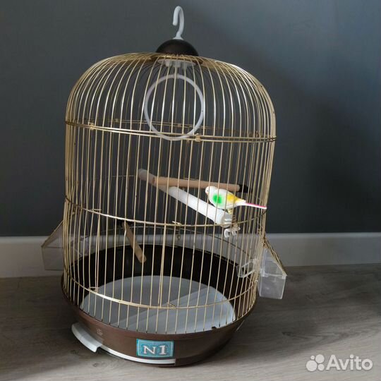 Клетка для птиц