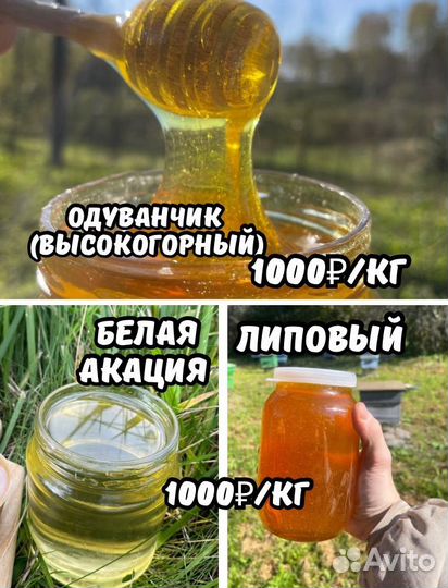 Отговорю покупать Аккураевый мед на Новый год