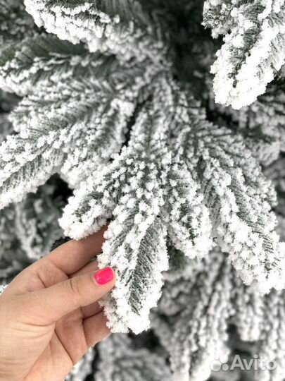 Заснеженная елка