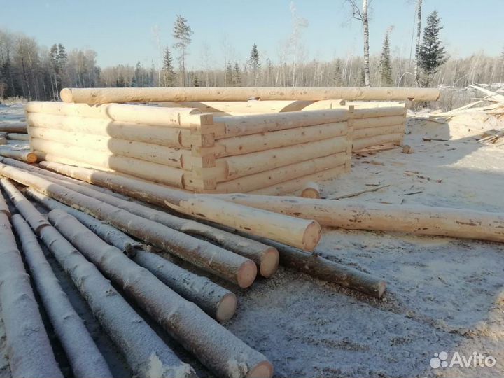 Рубим срубы под баню