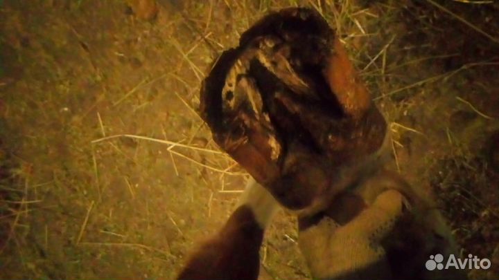 Коваль лошадей