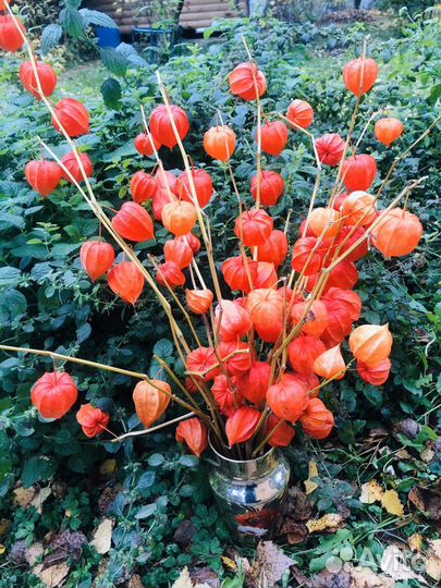 Китайский фонарик