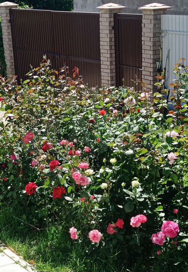 Дом 140 м² на участке 10 сот.