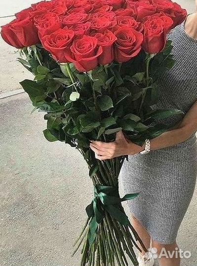 Высокие розы