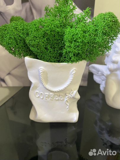 Стабилизированный мох в кашпо