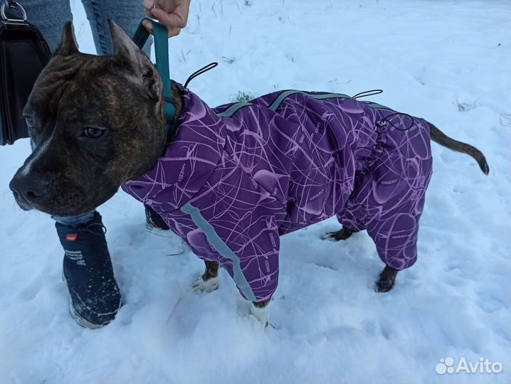 Зимний комбинезон для собак