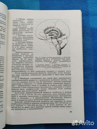 Заболевания нервной системы у детей (неврология)