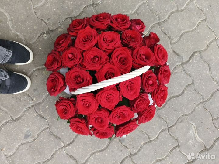 Розы красные