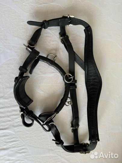 Кавессон для лошади