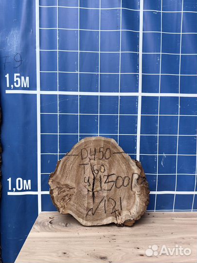 Спил карагач в наличии