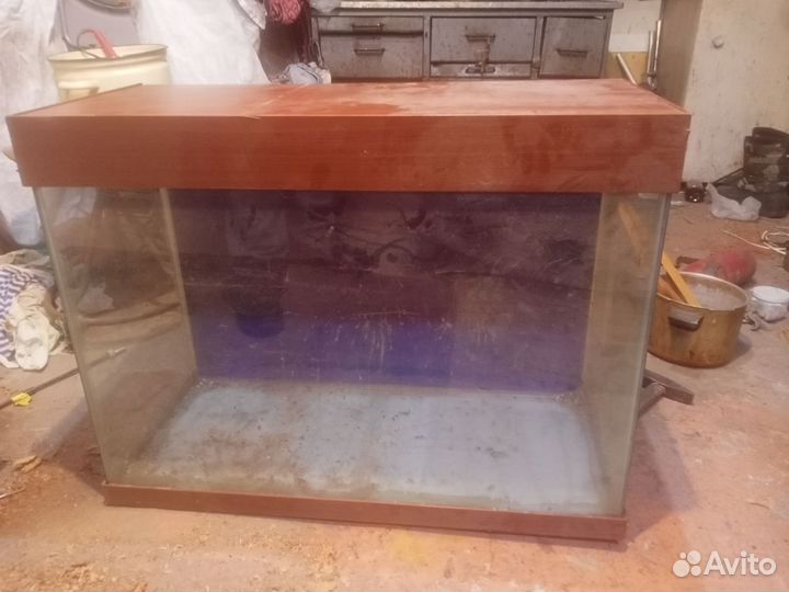 Аквариумные рыбки