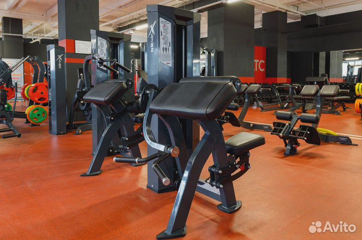 XR106 бицепс-машина X-line R