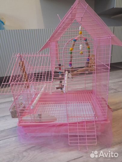 Волнистые попугай с клеткой