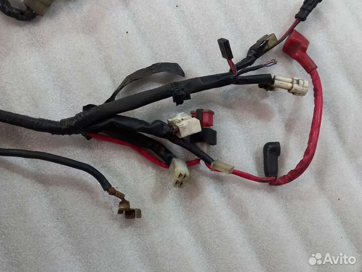 Проводка, коса Yamaha YZF R1 04-06