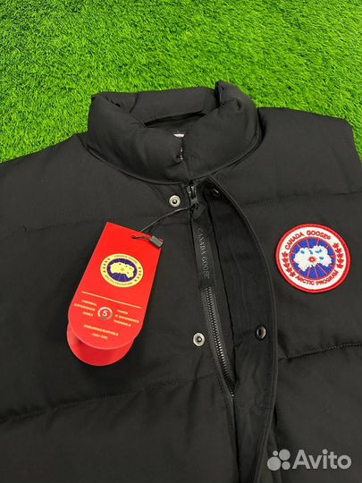 Мужская Жилетка canada goose