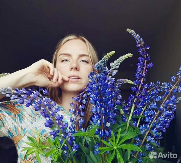 Профессиональный репетитор английского (тьютор)