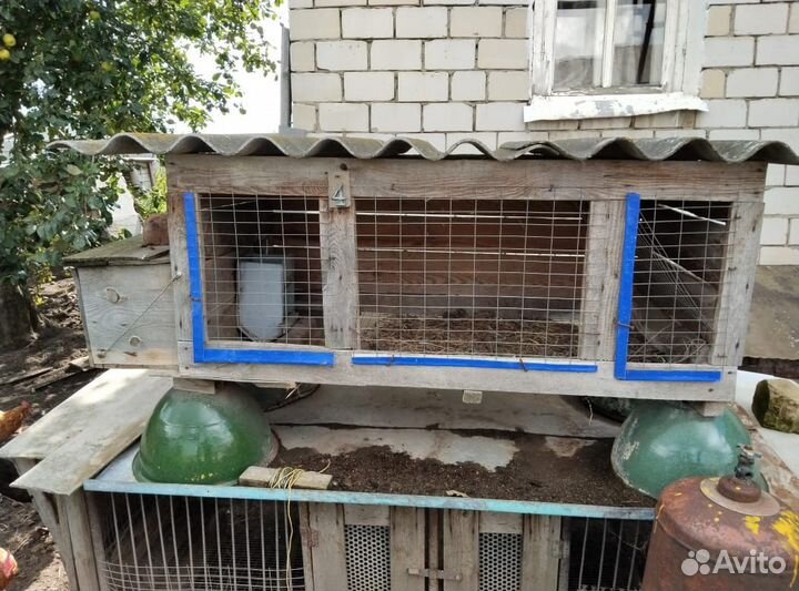 Клетки для кроликов бу