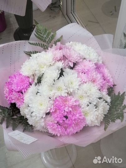 Хризантема кустовая