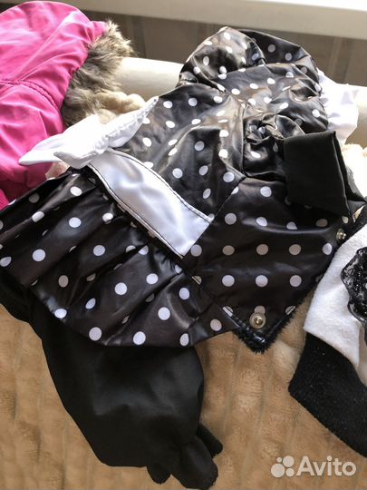 Одежда на маленькую собачку