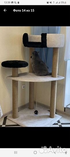Когтеточка для кошек новая,комплексы разные
