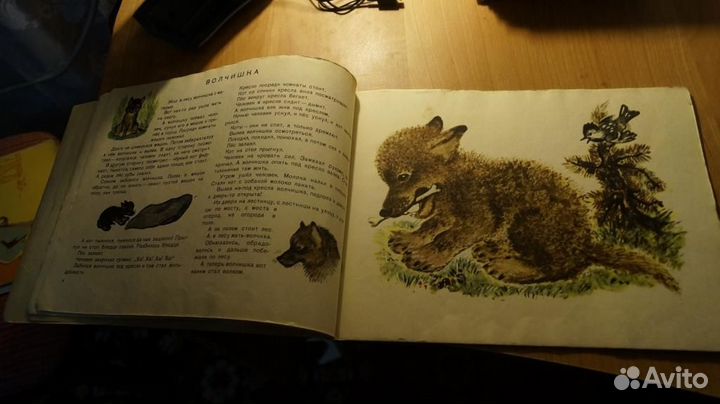 57,35 Книжка детская Зверята Чарушин Детгиз 1958г