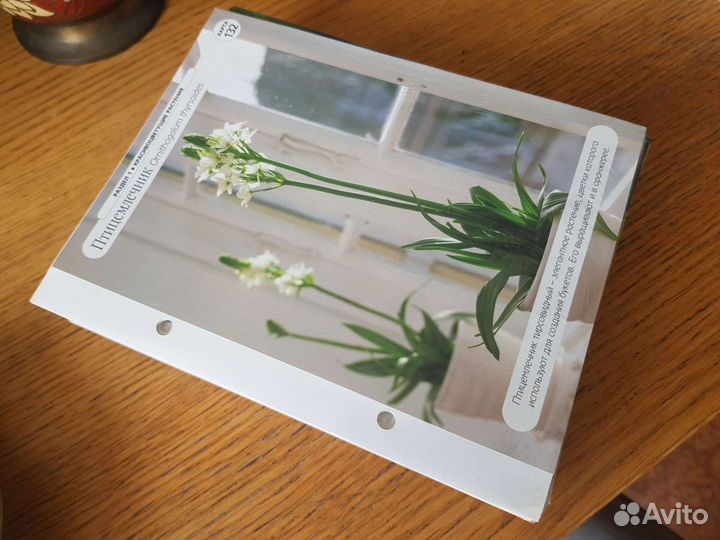 Цветы дома, коллекция альбомов