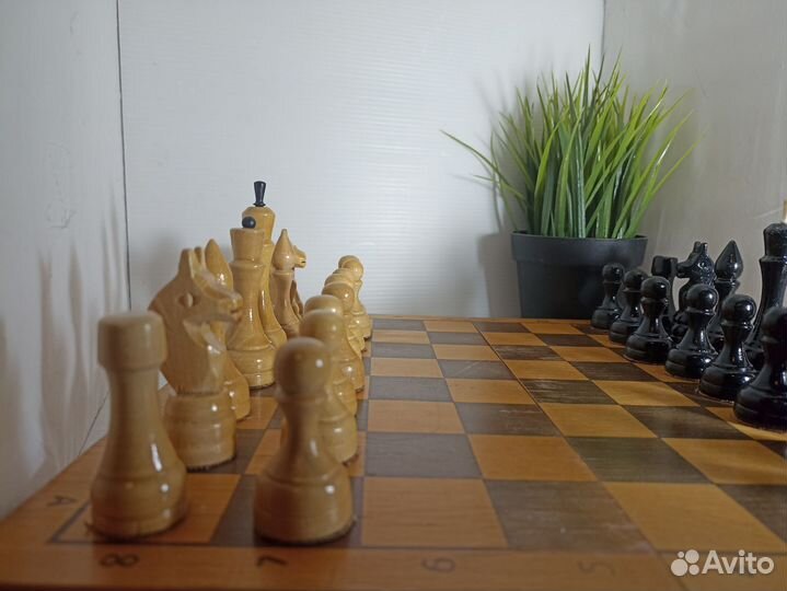 Шахматы СССР 1980