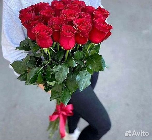 Розы Букеты Цветы Розы 31 101 151 201 Доставка