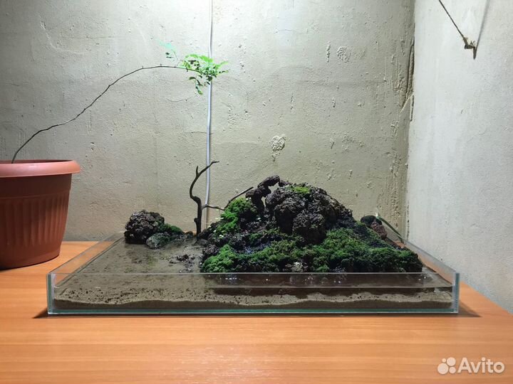 Настольные острова Дона Пабло