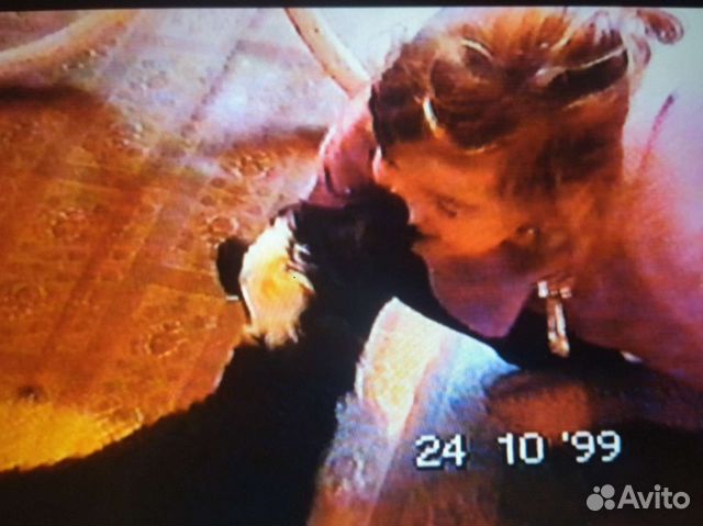 Оцифровка видеокассет