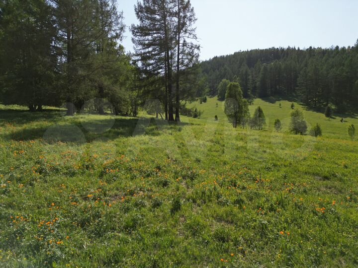 Участок 100 сот. (промназначения)