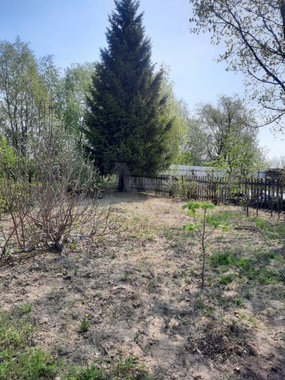 Участок 7 сот. (СНТ, ДНП)