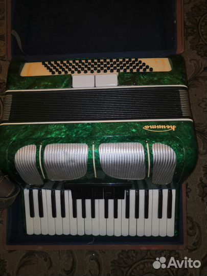 Аккордеон квинта