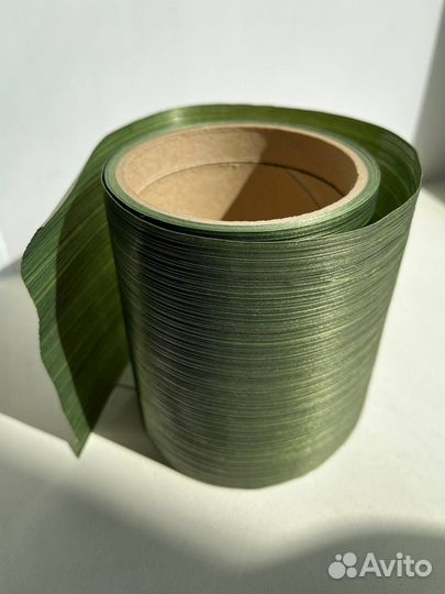 Лента аспидистра