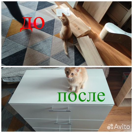 Мастер на час. Муж на час. Ремонт квартир