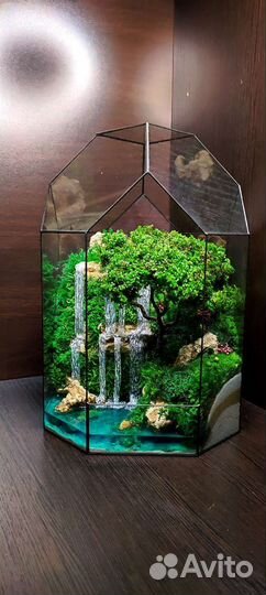 Моссариум флорариум подарок 8 марта