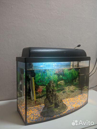 Аквариум в комплекте