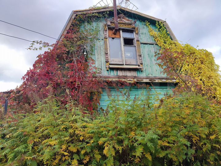 Участок 9 сот. (СНТ, ДНП)