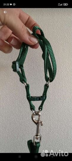 Шлейка для крупных попугаев