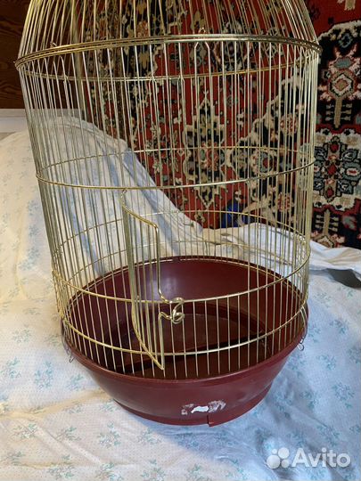 Большая клетка для птиц