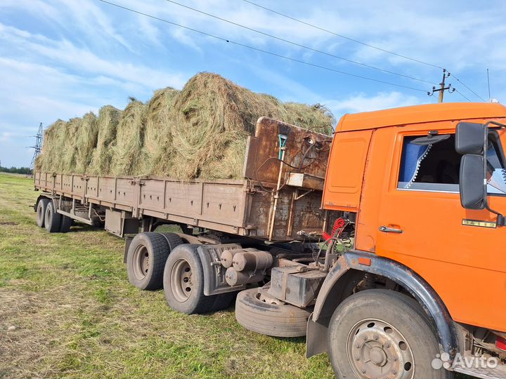 Сено в рулонах