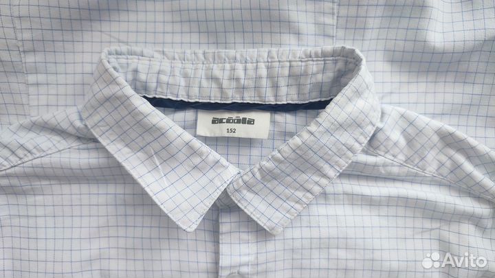 Рубашка 152 приталенный силуэт акула