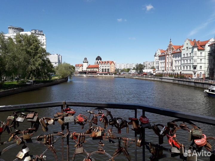 Экскурсии по Калининграду и на Куршскую косу