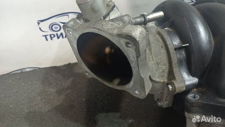 Vogue Коллектор