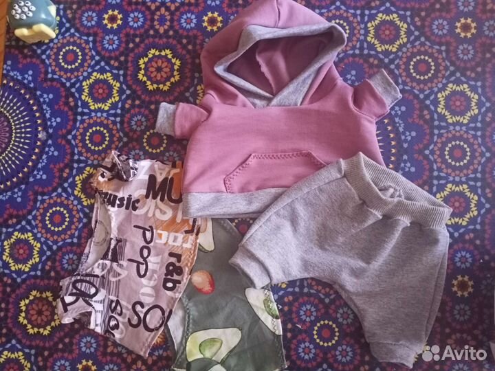 Одежда для кота басик