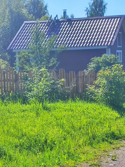 Участок 22 сот. (СНТ, ДНП)