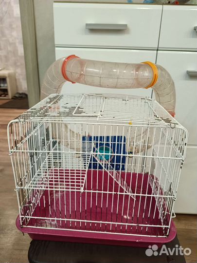 Продам сирийских хомяков с большими клетками