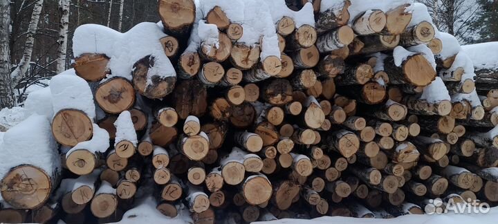 Лес кругляк