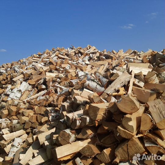 Дрова осина